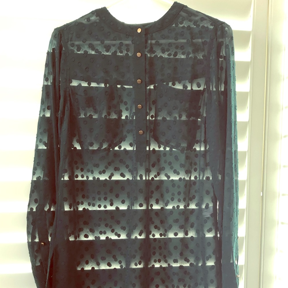 Teal, sheer blouse